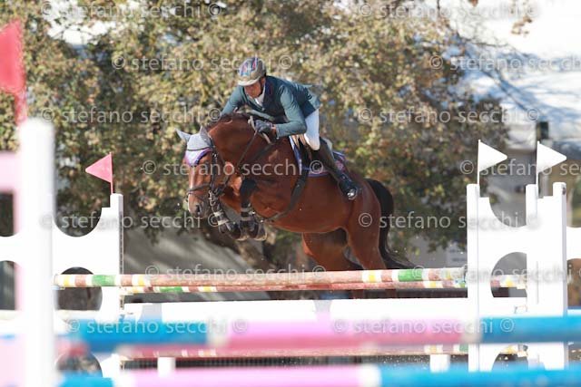 MICCOLI_ARKY_GIO CAV 2011_SS3_6673.jpg